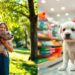 adopt or buy decision