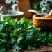 cooking with herbs